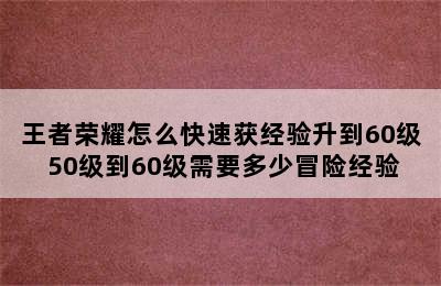 王者荣耀怎么快速获经验升到60级 50级到60级需要多少冒险经验